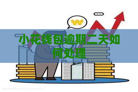 小花钱包逾期二天如何处理