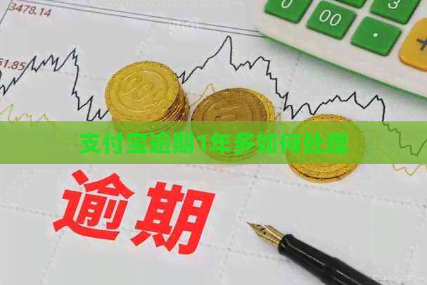 信用卡逾期1年多如何处理