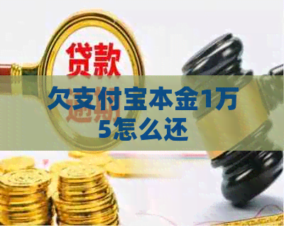 欠信用卡本金1万5怎么还