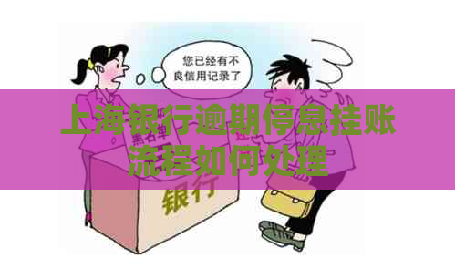 上海银行逾期停息挂账流程如何处理