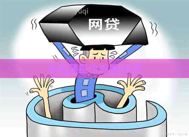 小米随星借逾期10天