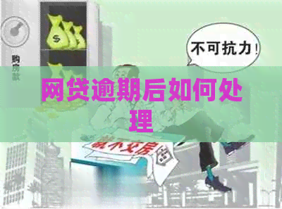 网贷逾期后如何处理