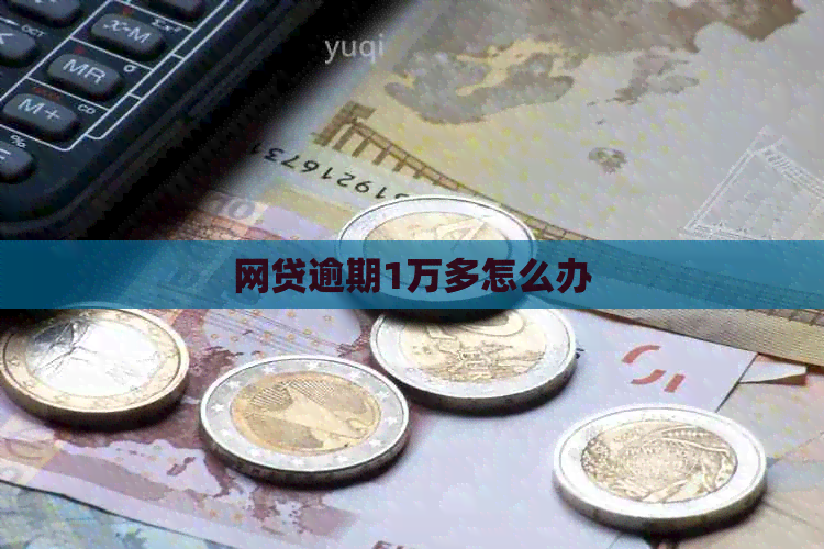 网贷逾期1万多怎么办