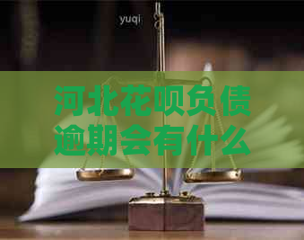 河北白条负债逾期会有什么后果