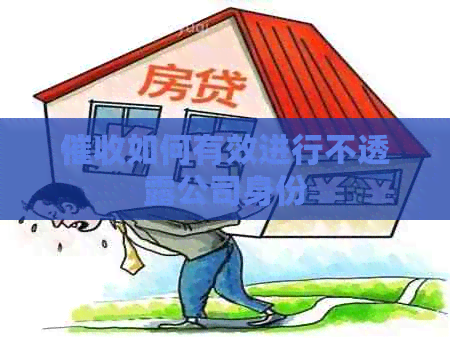 如何有效进行不透露公司身份