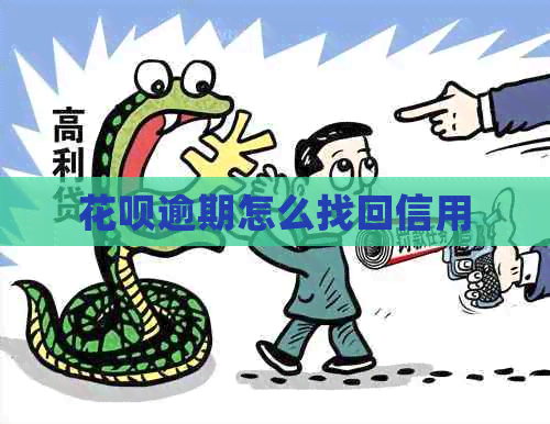 白条逾期怎么找回信用