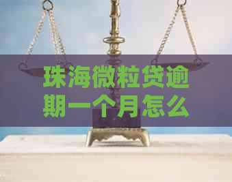 珠海微粒贷逾期一个月怎么办