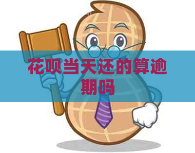 白条当天还的算逾期吗