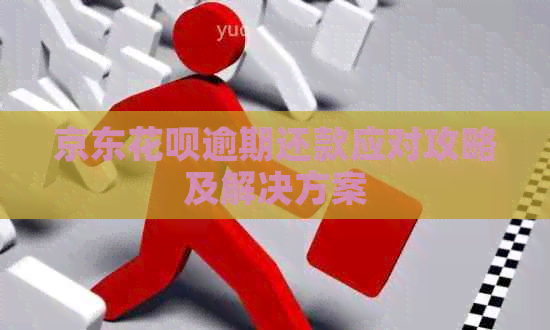 京东白条逾期还款应对攻略及解决方案