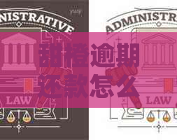 甜橙逾期还款怎么办
