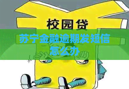 苏宁金融逾期发短信怎么办