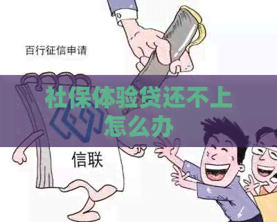 社保体验贷还不上怎么办