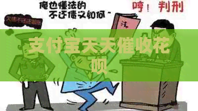 信用卡天天白条