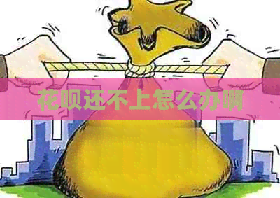 白条还不上怎么办啊