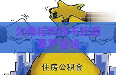 欠微粒贷钱不还后果严重吗
