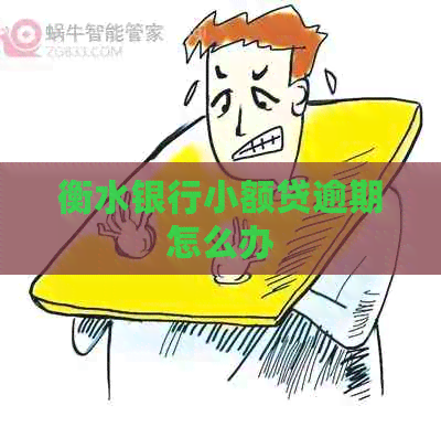 衡水银行小额贷逾期怎么办