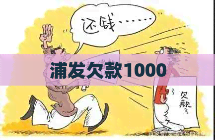 浦发欠款1000