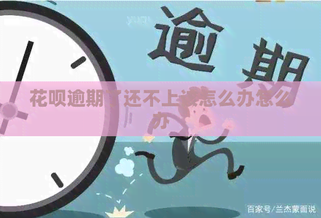 白条逾期了还不上该怎么办怎么办