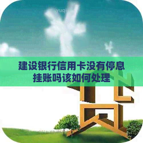 建设银行信用卡没有停息挂账吗该如何处理