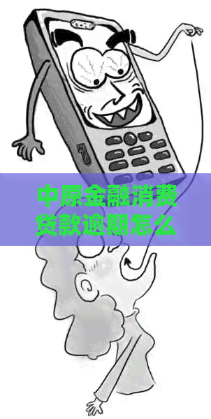 中原金融消费贷款逾期怎么办