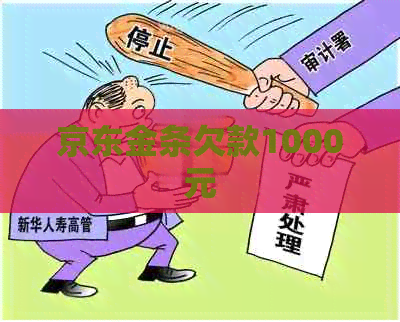 京东金条欠款1000元