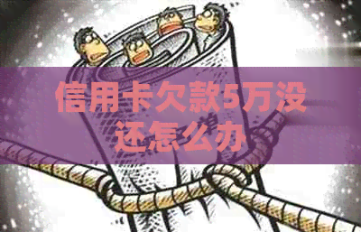 信用卡欠款5万没还怎么办