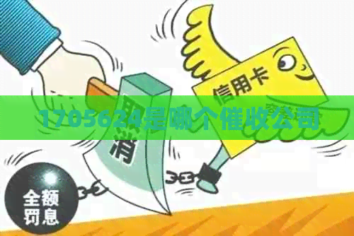1705624是哪个公司