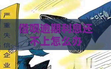 信用卡逾期利息还不上怎么办