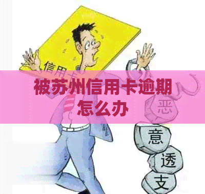 被苏州信用卡逾期怎么办