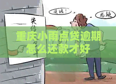 重庆小雨点贷逾期怎么还款才好