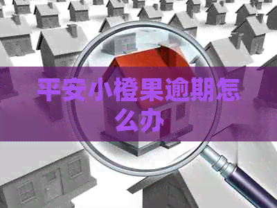 平安小橙果逾期怎么办