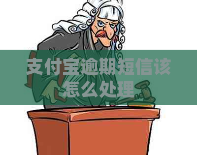 信用卡逾期短信该怎么处理