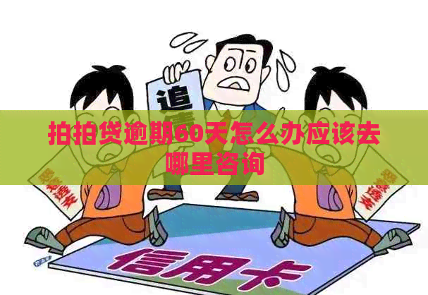 逾期60天怎么办应该去哪里咨询