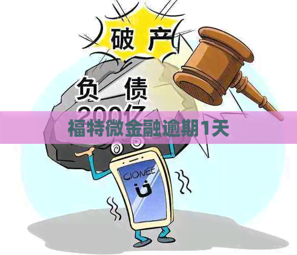 福特微金融逾期1天