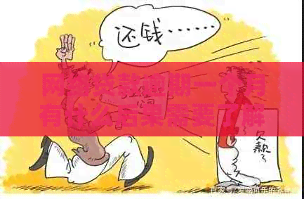 网络贷款逾期一个月有什么后果需要了解