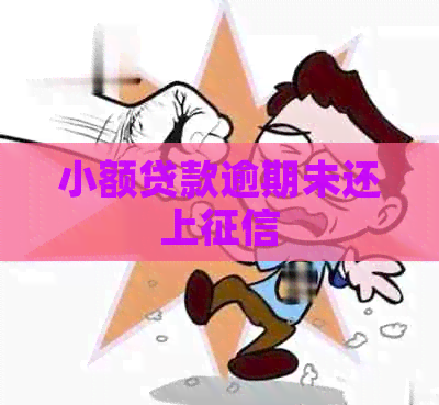 小额贷款逾期未还上