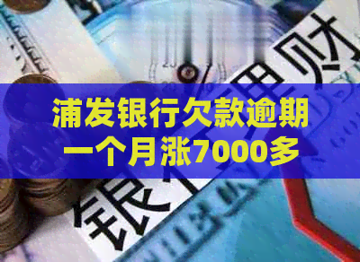浦发银行欠款逾期一个月涨7000多