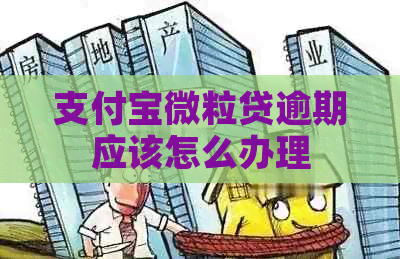 信用卡微粒贷逾期应该怎么办理
