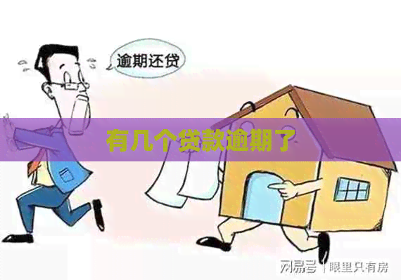 有几个贷款逾期了