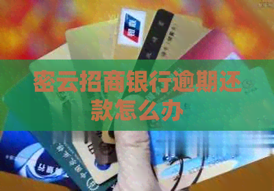 密云招商银行逾期还款怎么办