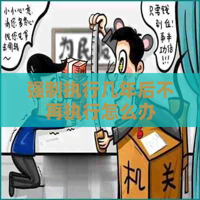 强制执行几年后不再执行怎么办