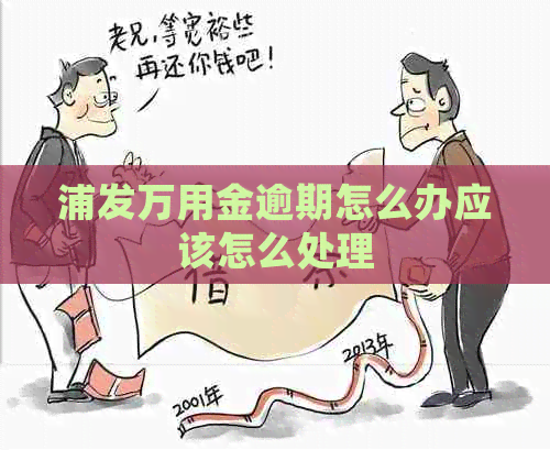 浦发万用金逾期怎么办应该怎么处理
