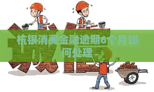 杭银消费金融逾期6个月如何处理