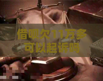 信用卡欠11万多可以起诉吗