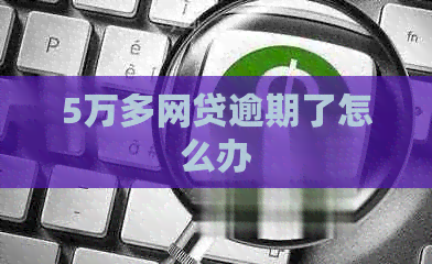 5万多网贷逾期了怎么办