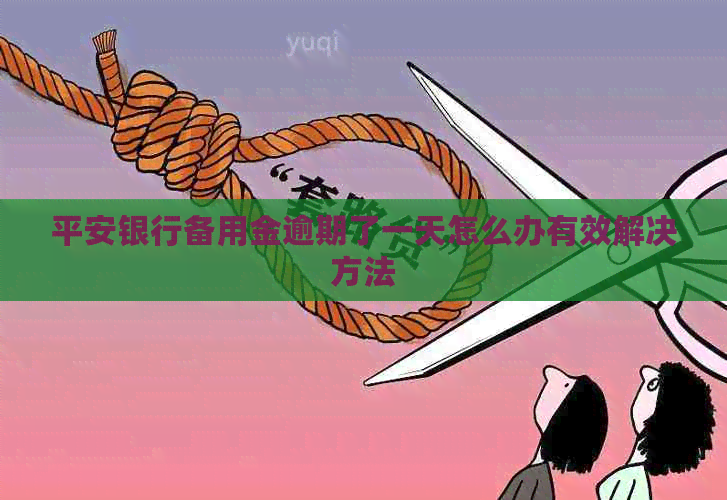 平安银行备用金逾期了一天怎么办有效解决方法