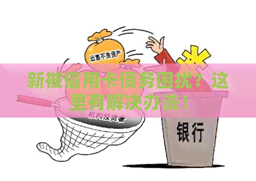 新被信用卡债务困扰？这里有解决办法！