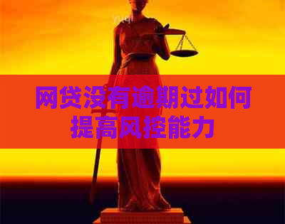 网贷没有逾期过如何提高风控能力