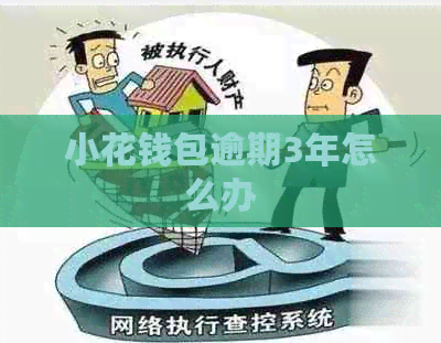 小花钱包逾期3年怎么办