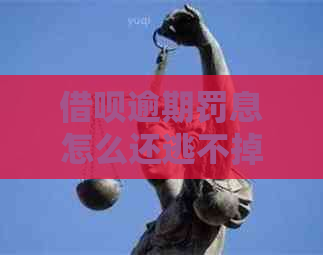 信用卡逾期罚息怎么还逃不掉